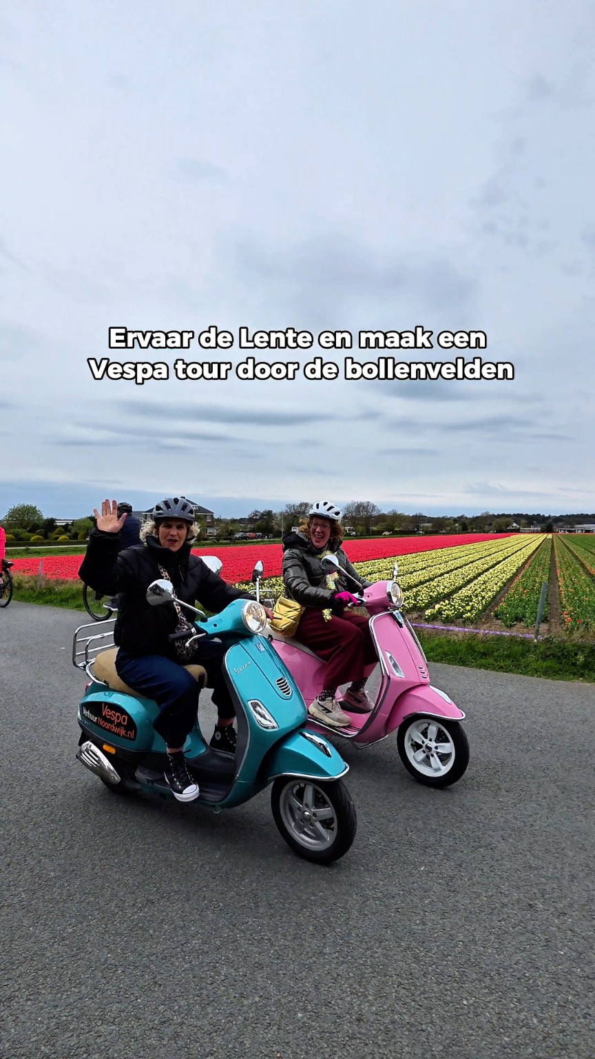 Thumbnail Vespa tour door de bollenvelden Noordwijk